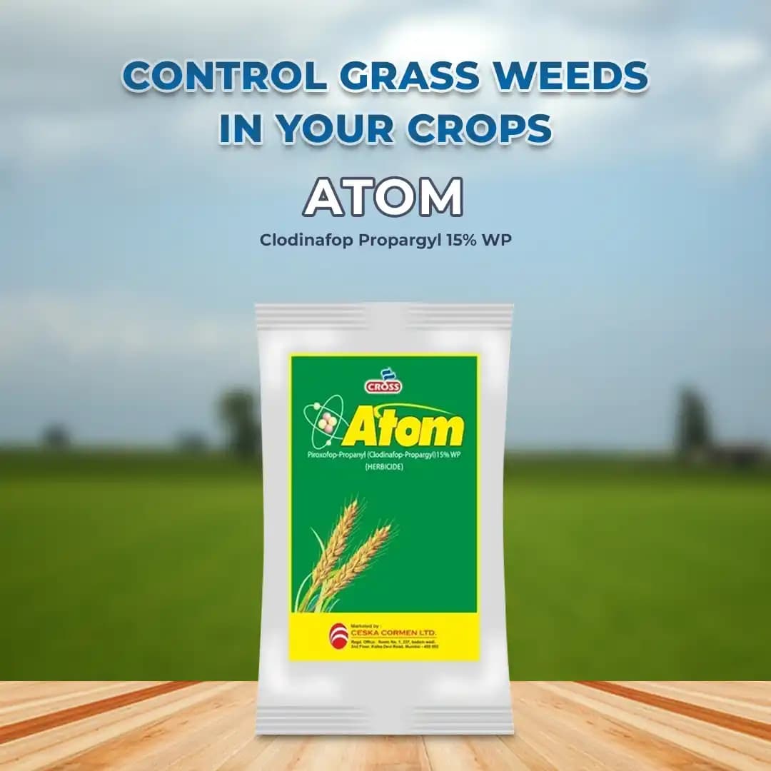 Atom Clodinafop Propargyl 15% Wp, Selective Post Emergence Broad Spectrum Herbicide - Image 2