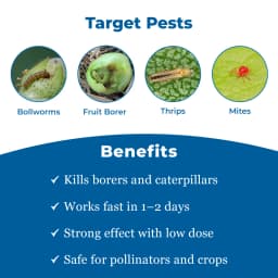 Parijat Perform Emamectin Benzoate 5% SG Insecticide, Use for Cotton, Okra, Cabbage, Chilli, Brinjal, Redgram, Grapes and Chick Pea 3