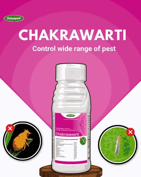 Katyayani Chakrawarti Thiamethoxam 12.6% + Lambda Cyhalothrin 9.5% Zc Insecticide - Image 2