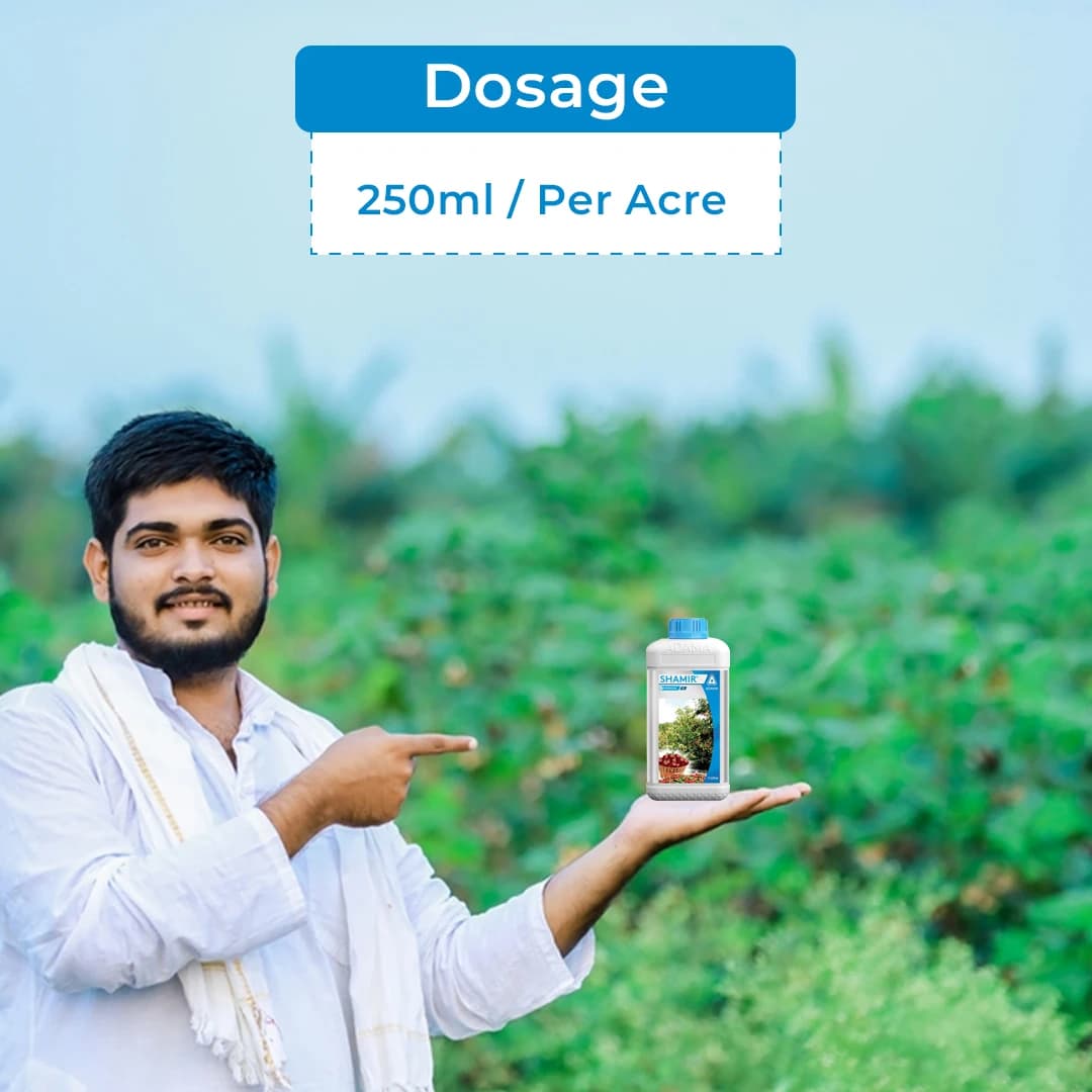 Adama Shamir Tebuconazole 6.7% + Captan 26.9% SC, Contact Fungicide, Excellent Protection Against Apple Scab - Image 5