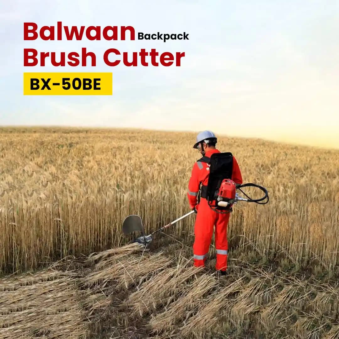 Balwaan BX 50BE Eco Back Pack Brush Cutter, 4 Stroke 50CC, Use For Crop Cutting Cum Grass Cutting - Image 6