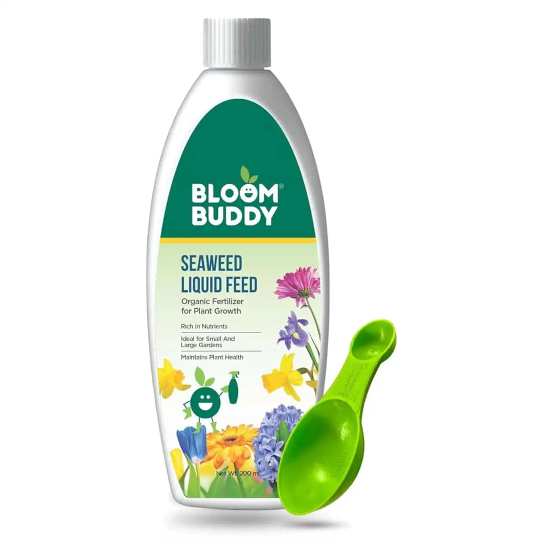 BloomBuddy Organic Seaweed Extract Liquid Fertilizer, Growth Promoter For Indoor & Outdoor Plants - Image 2
