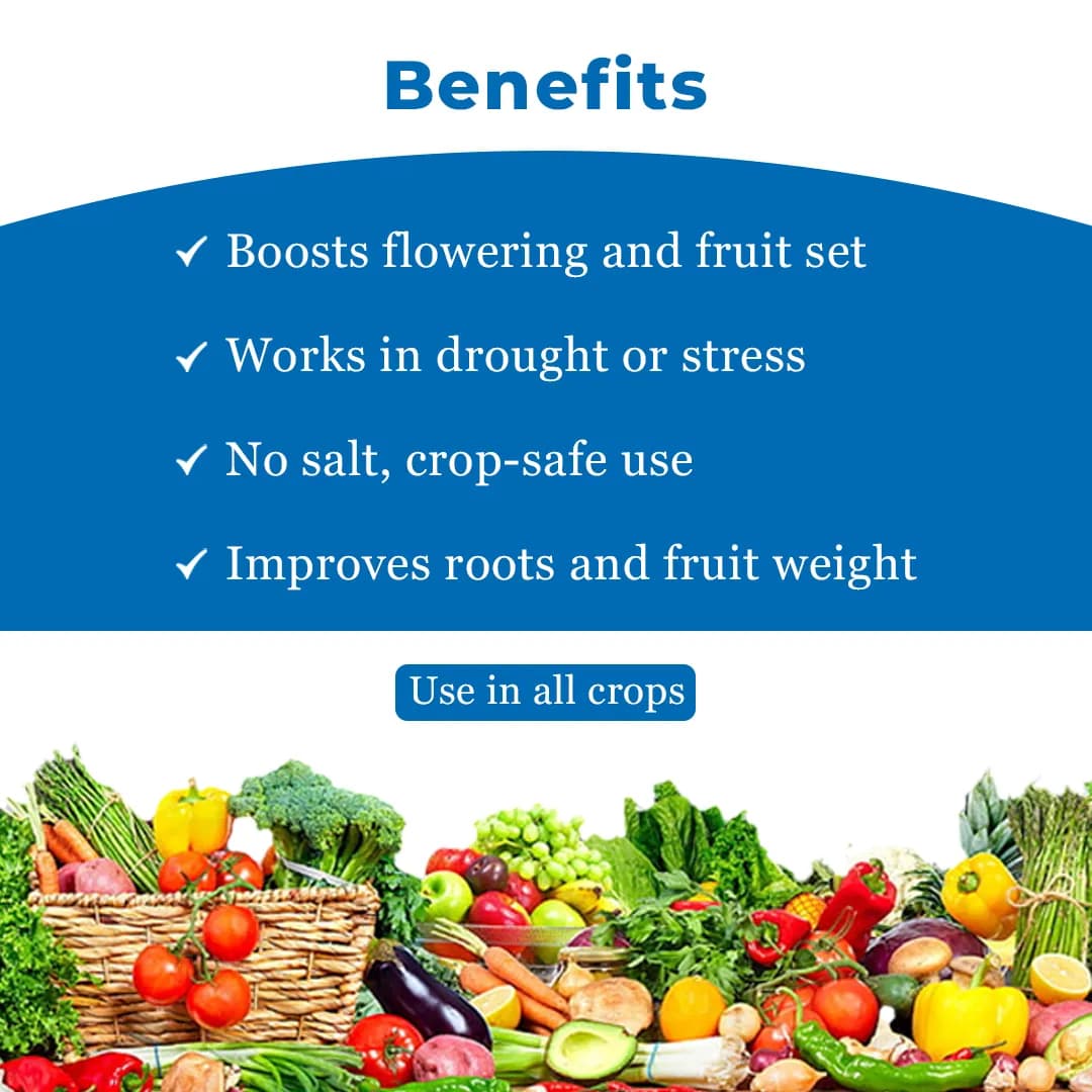 Aries FertiMax HD NPK 00:00:50 Potassium Sulphate Fertilizer, Excels In Providing Nutrients At Extremely Low Dosage - Image 4