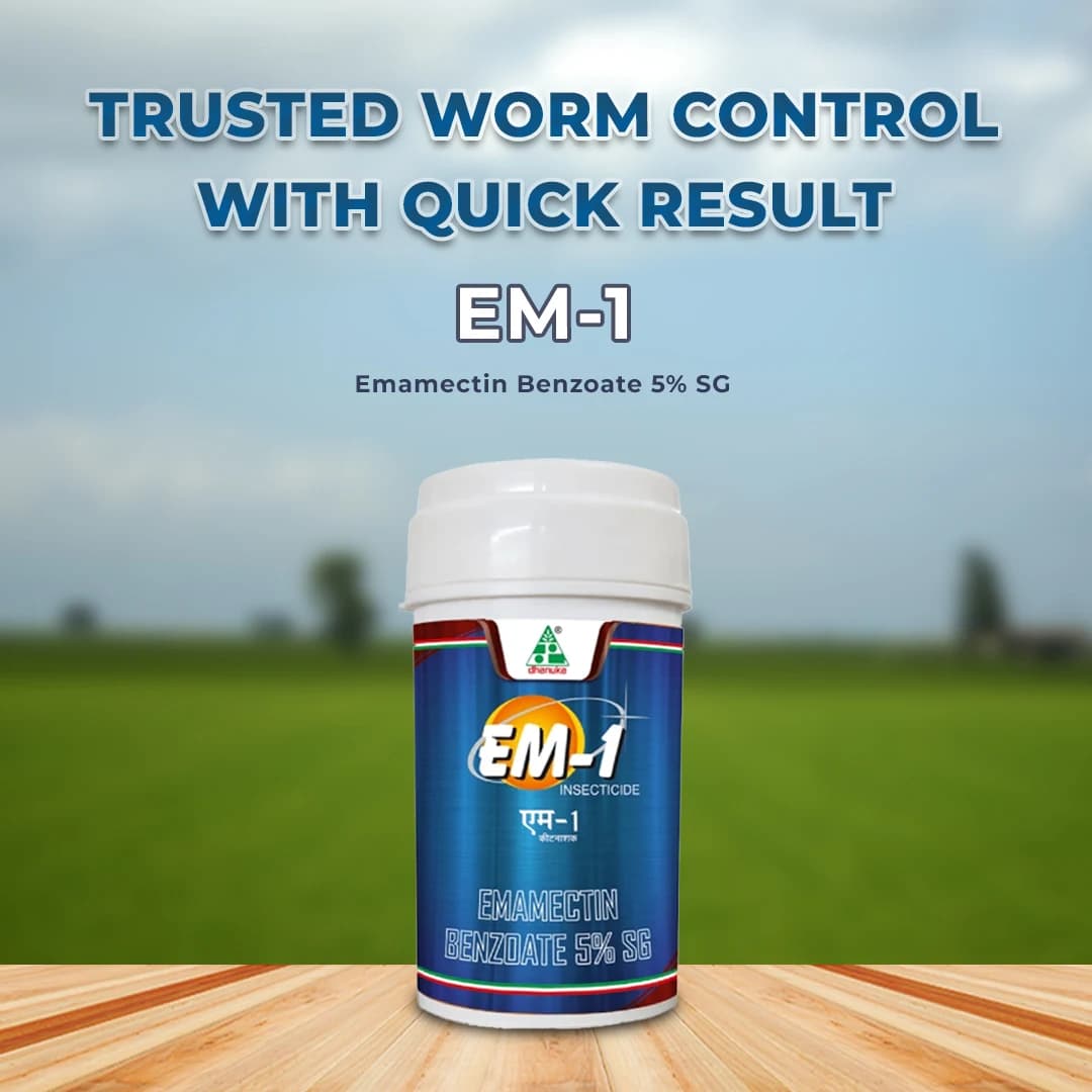 Dhanuka EM-1 Emamectin Benzoate 5% SG Insecticide, Contact And Stomach, Effective Control Caterpillars In Crops - Image 2