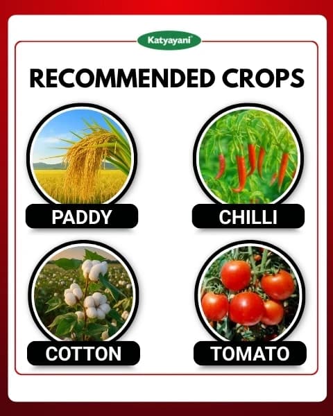 Katyayani Fluben Flubendiamide 39.35% SC Insecticide, Target a Range of Lepidopteran Pests - Image 4