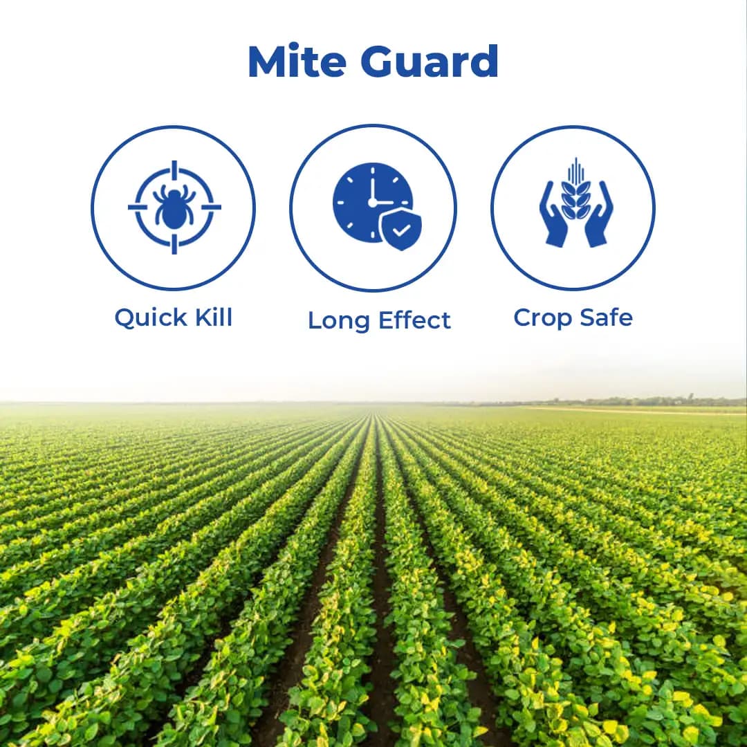 UPL Mastamite Propargite 57% EC Insecticide, Stop Feeding Immediately And Egg Laying - Image 3