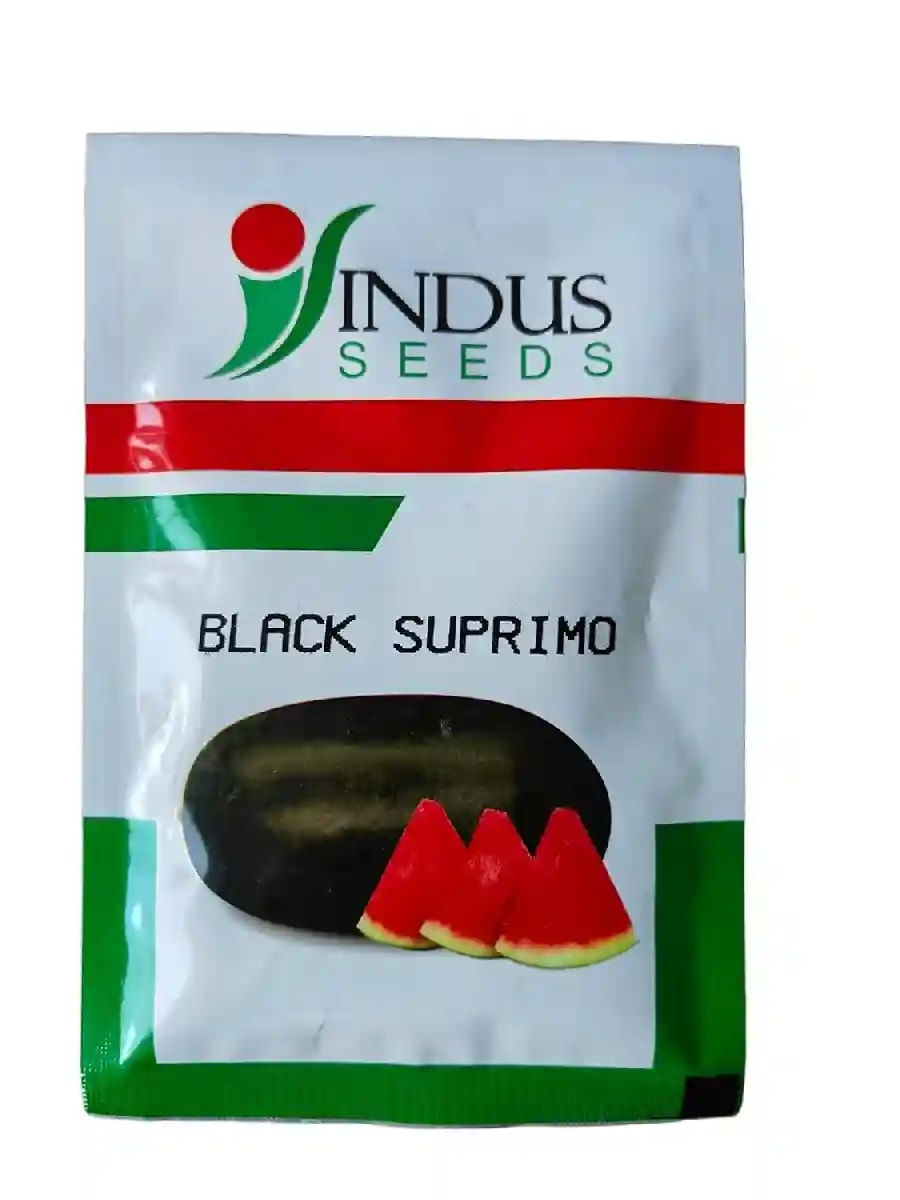 Indus Black Supremo Watermelon (Tarbuj) Seeds