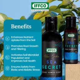 IFFCO Urban Garden Sea Secret Organic Seaweed Extract, Water Soluble Growth Promoter Liquid 3