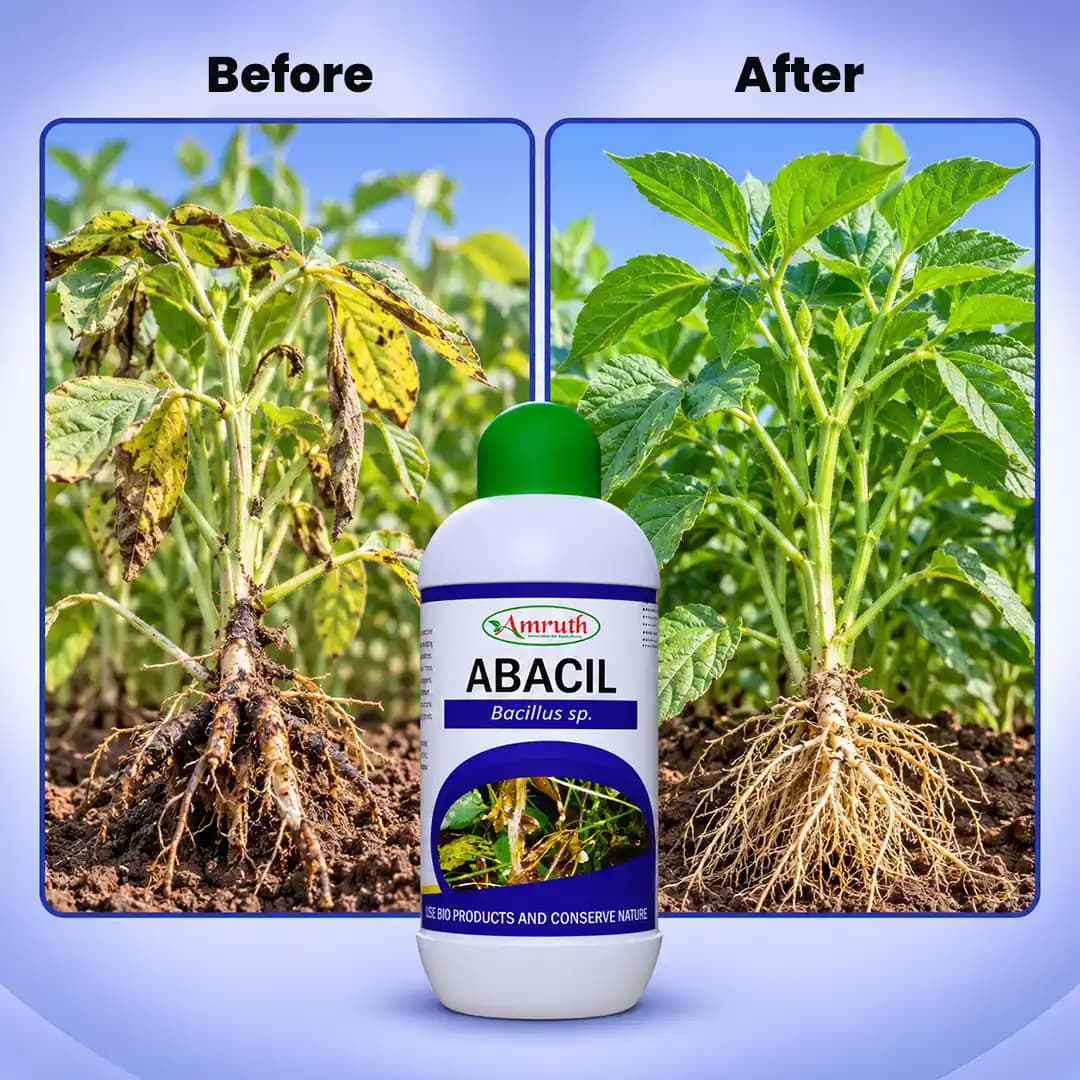 Amruth Organic Abacil Bio Fungicide - Effective Crop Disease Control - Image 3