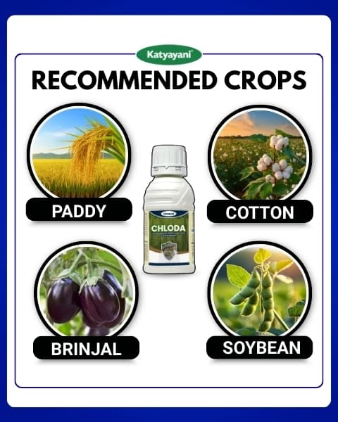 Katyayani Chloda Chlorantraniliprole 9.3% + Lambda Cyhalothrin 4.6% ZC Insecticide, for Effective Pest Control for Crops - Image 4