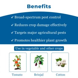 बायर फेम फ्लूबेंडियामाइड 480 एससी (39.35% डब्ल्यू/डब्ल्यू) कीटनाशक तंत्रिका तंत्र पर कार्य करता है, फ्लूबेंडियामाइड कीटों को बाधित करता है 4