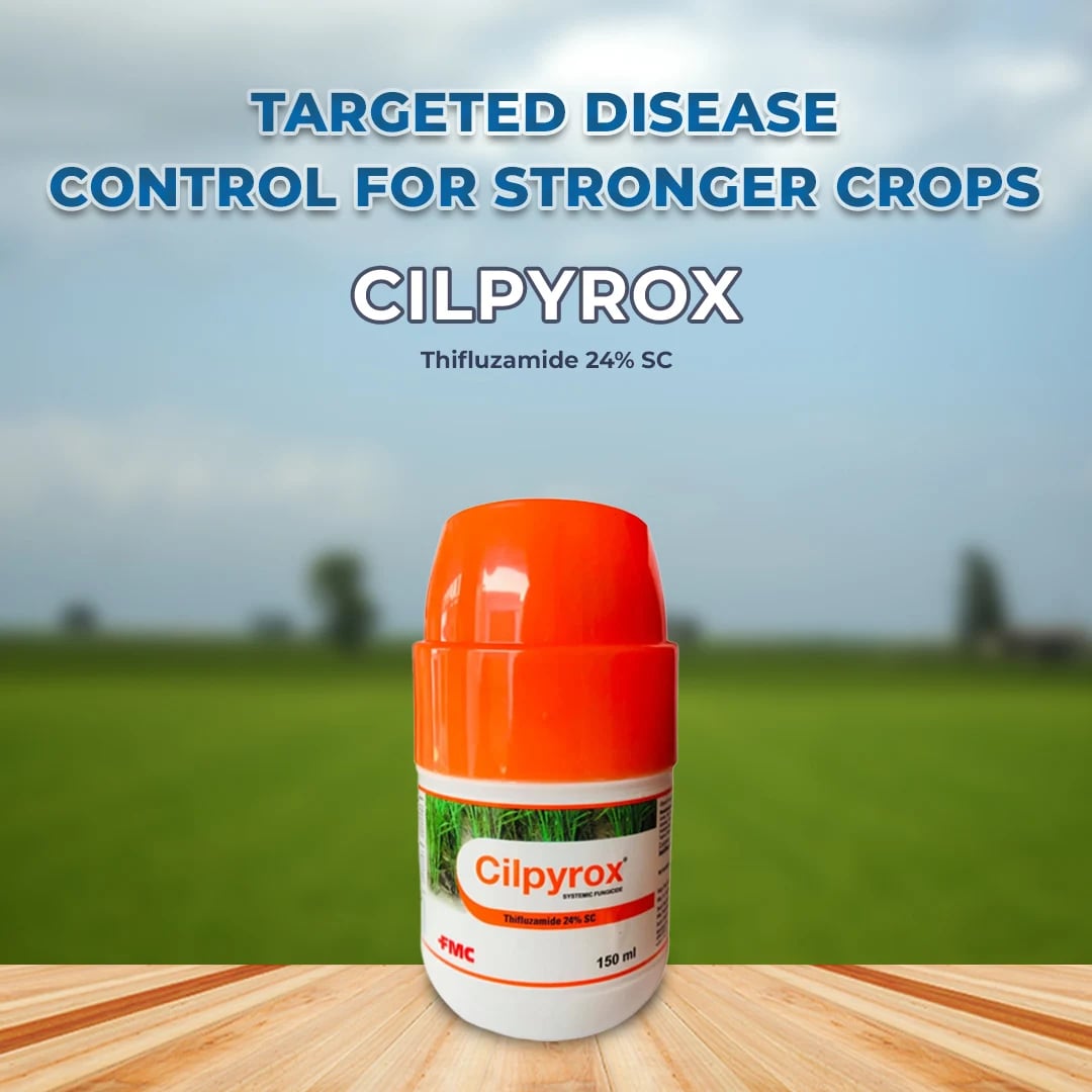 FMC Cilpyrox Fungicide