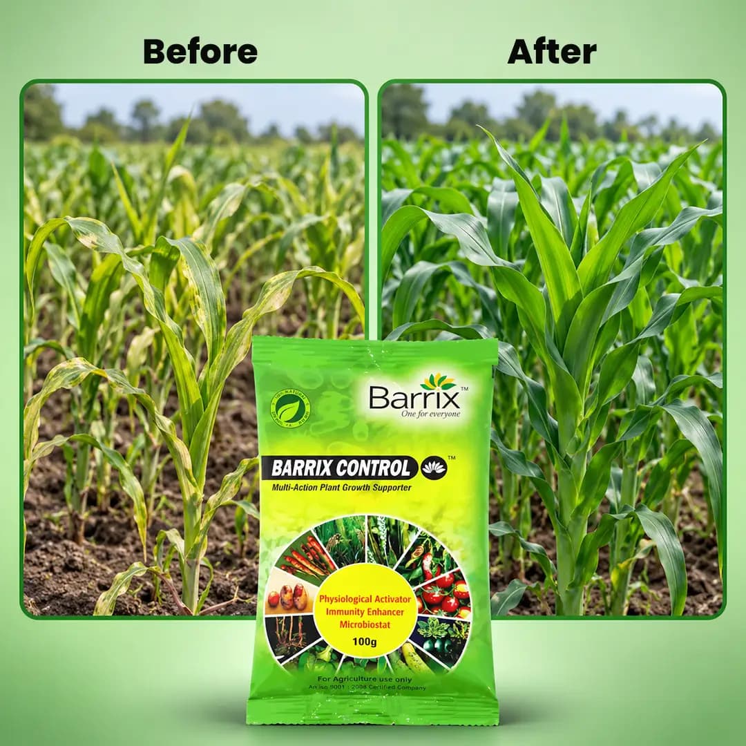 Barrix Control Plant Growth Supporter, Easily Absorbed By The Plant, Contain Nitrogen - Image 4