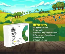 Chipku A5 White Sticky Trap For Insects, Useful for Farming Outdoor and Gardening (Size 150 MM x 200 MM) 4