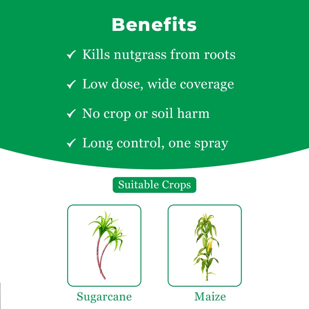 Dhanuka Sempra Herbicide - Halosulfuron Methyl 75% WG - Image 4