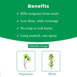 Dhanuka SEMPRA Halosulfuron Methyl 75% WG Herbicide, Post-Emergence, Cyperus Control In Crops 4