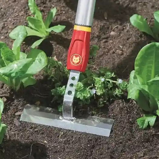 Wolf Garten Scuffle Hoe (GS-M 14) Garden Weeder, Makes Quick Work Of The Arduous Task Of Weeding