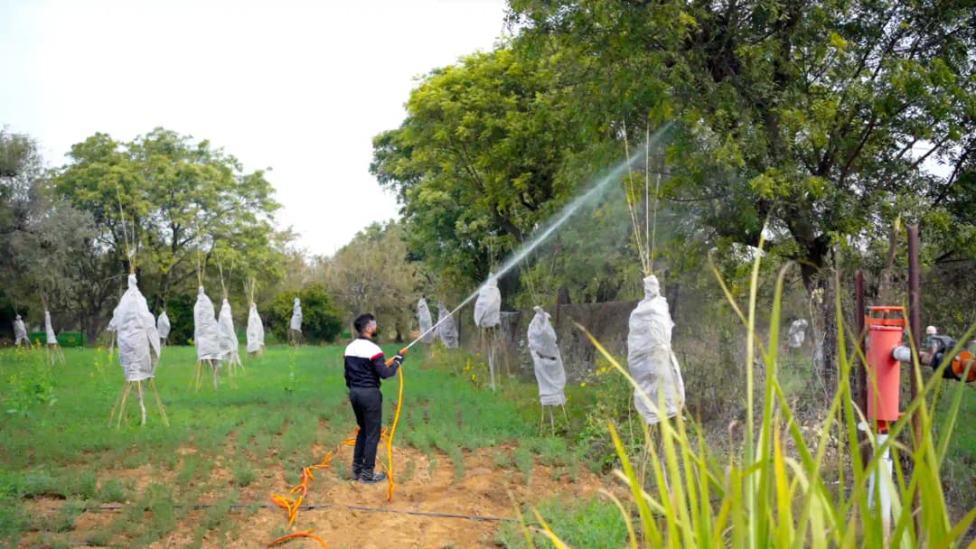 Balwaan BHE-22 Portable Power Sprayer, 4-Stroke HTP Sprayer With 6.5 HP Engine and 196 CC, Suitable for Gardening, Industrial Use and Agriculture Use - Image 6