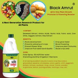 BLACK AMRUT Plant Growth Promoter, Improves The Production Of Crops, Inhibits Growth And Promotes Dormancy 6