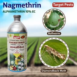 Multiplex Nagmethrin Alphamethrin 10% EC Insecticide, Use For Cotton, Cabbage, Okra, Brinjal, Sugarcane, Wheat and Sunflower. 2