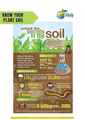 Vikalp Premium Seaweed Fertilizer Perfect Organic Fertilizer for Indoor and Outdoor Plants & All Types of Crops - Image 7