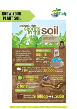 Vikalp Premium Seaweed Fertilizer Perfect Organic Fertilizer for Indoor and Outdoor Plants & All Types of Crops 7