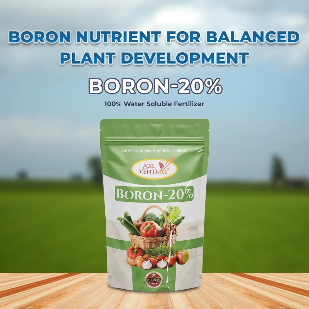 Agriventure BORON-20%, 100% Water Soluble Fertilizer, Improving Flower And Fruit - Image 2
