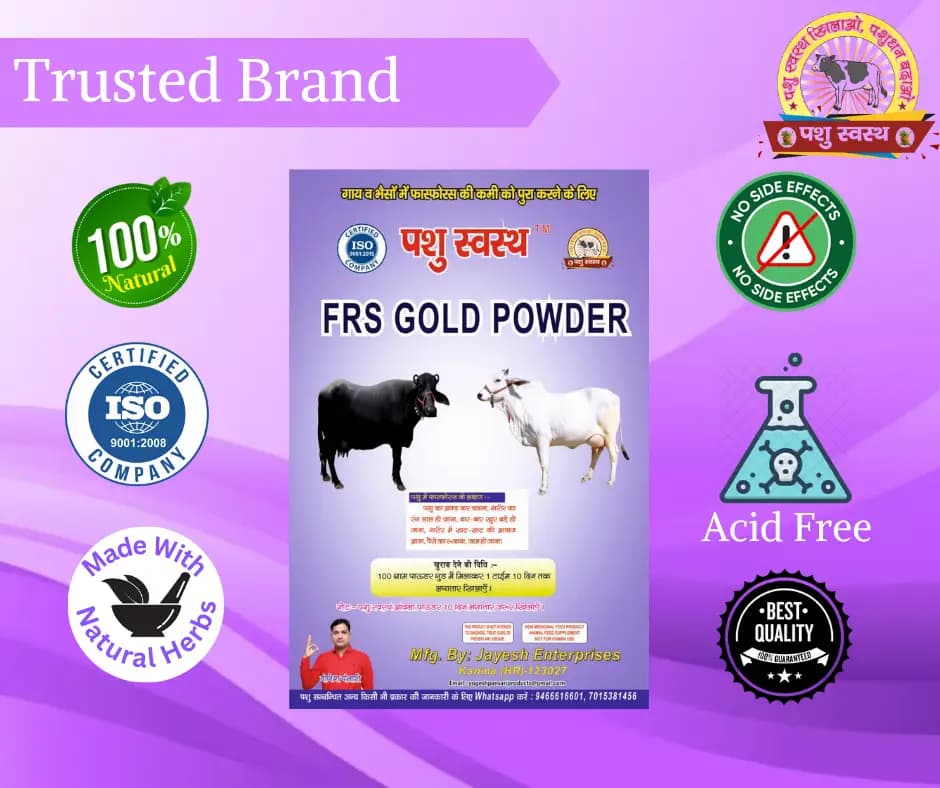 PASHU SVASTH FRS GOLD POWDER, Natural Phosphorus Supplement For Cow And Buffalo - Image 7