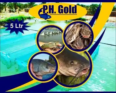 पीएच गोल्ड पोंड पीएच बफर और पानी सैनिटाइज़र, एक्वाकल्चर मछली और झींगा के लिए, तालाबों में टॉक्सिन्स को नियंत्रित करने वाला आहार की आपूर्ति करता है - Image 3