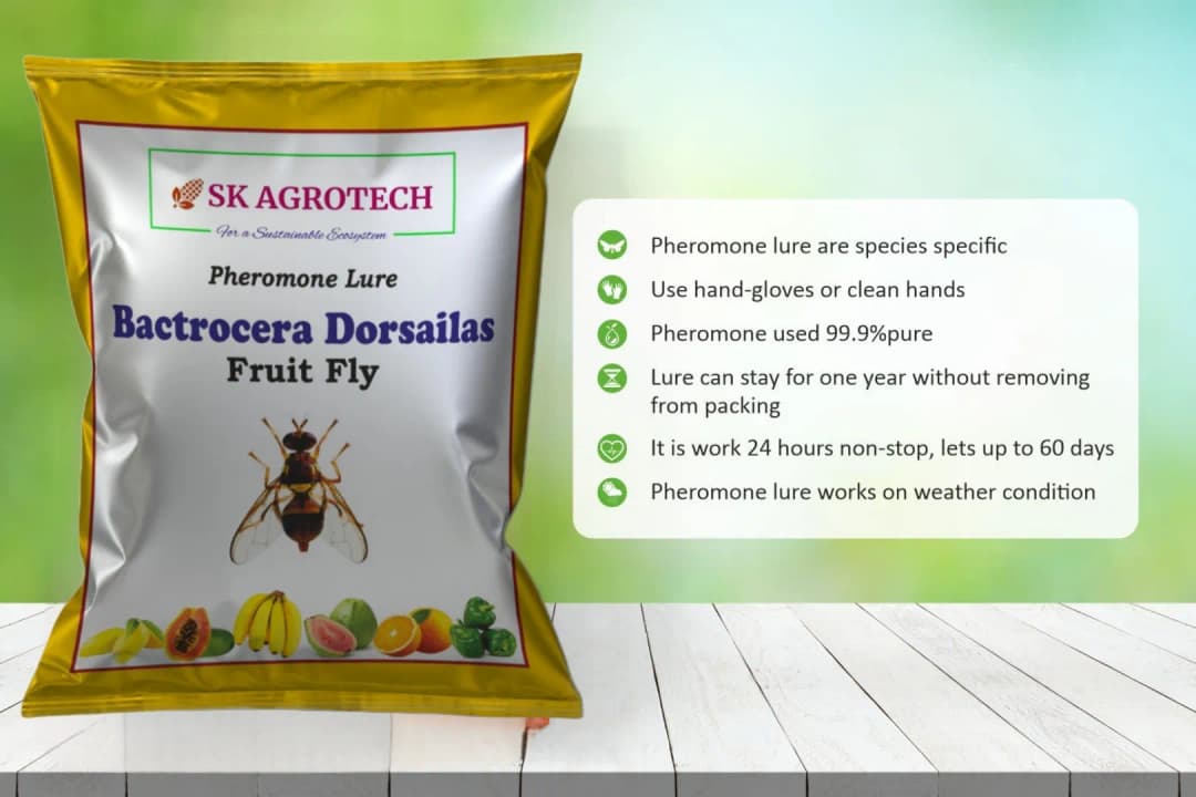 SK Agrotech Bactrocera Dorsalis Fruit Fly Pheromone Trap With Lure - Effective Solution For Mango, Papaya, Sapota, Etc. - Image 6