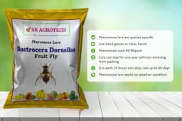 SK Agrotech Bactrocera Dorsalis Fruit Fly Pheromone Trap With Lure - Effective Solution For Mango, Papaya, Sapota, Etc. 6