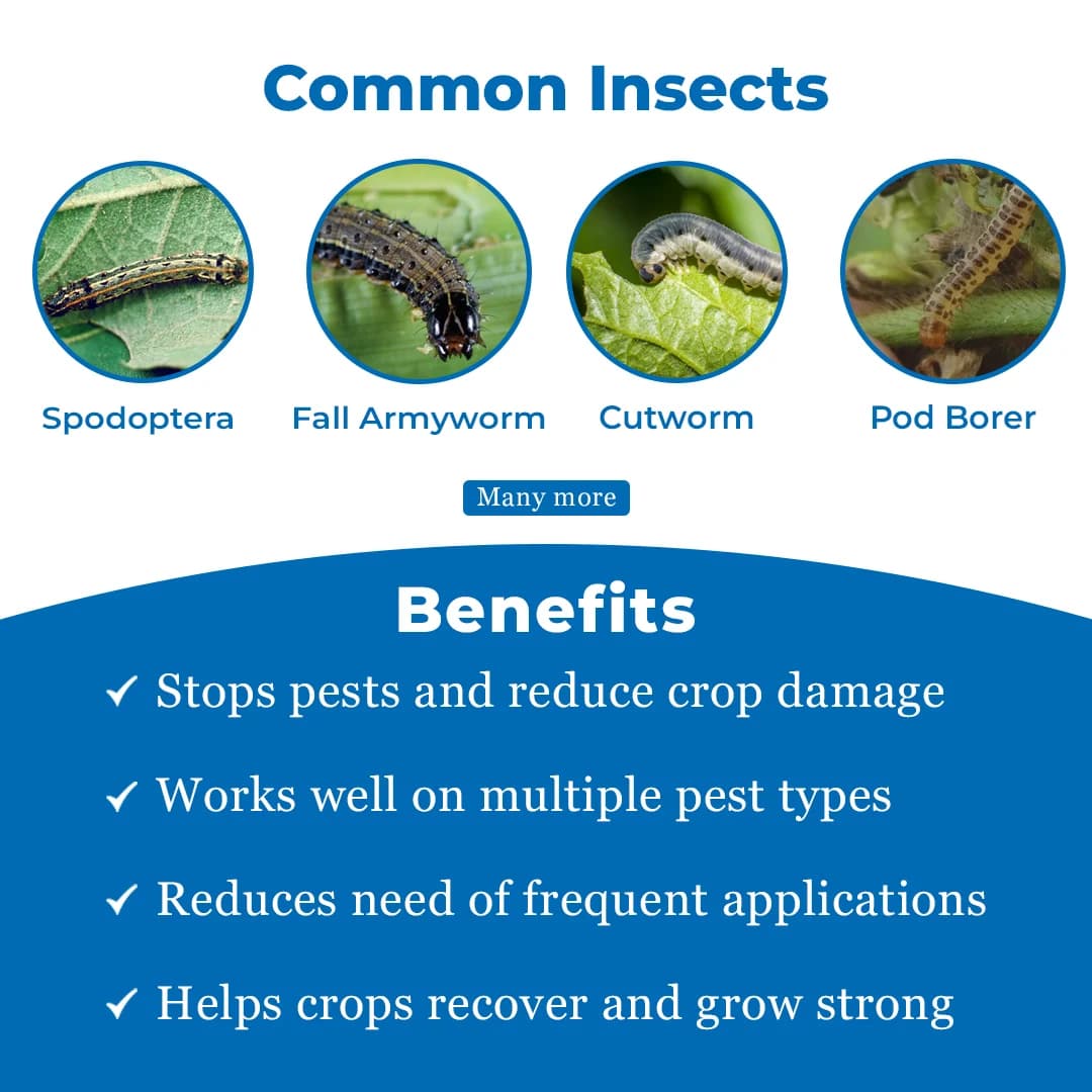 SML Vamos Insecticide - Image 4