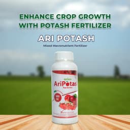 Aries Ari Potash Mixed Macronutrient Fertilizer, An Essential Nutrient for Plant Growth 2