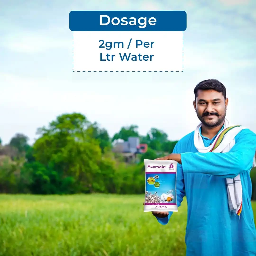 Adama Acemain Insecticide - Image 5