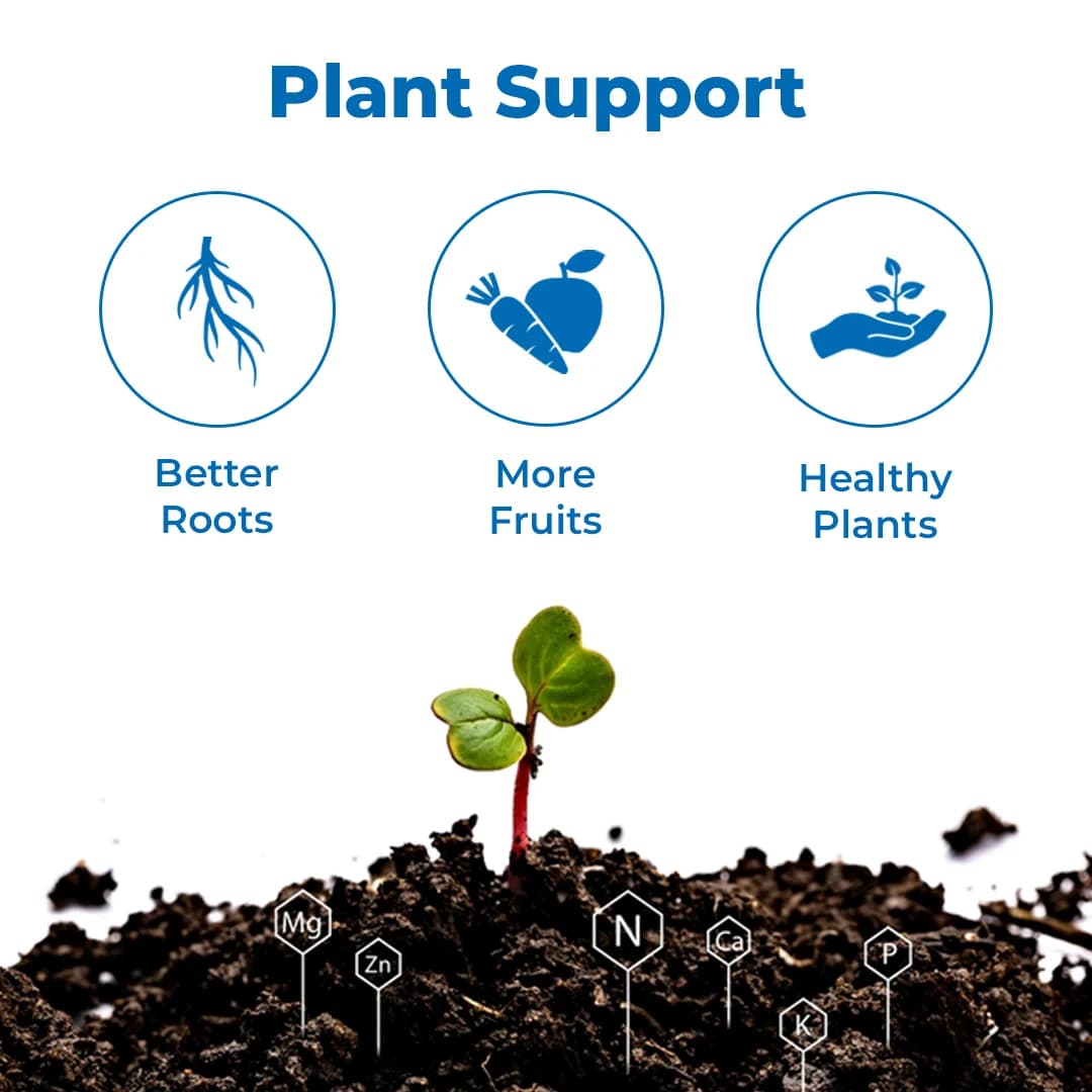 Anand Agro Care Banana Special (PGR For Banana), Increase The Natural Size, Attractive Color And Length Of Finger. - Image 3