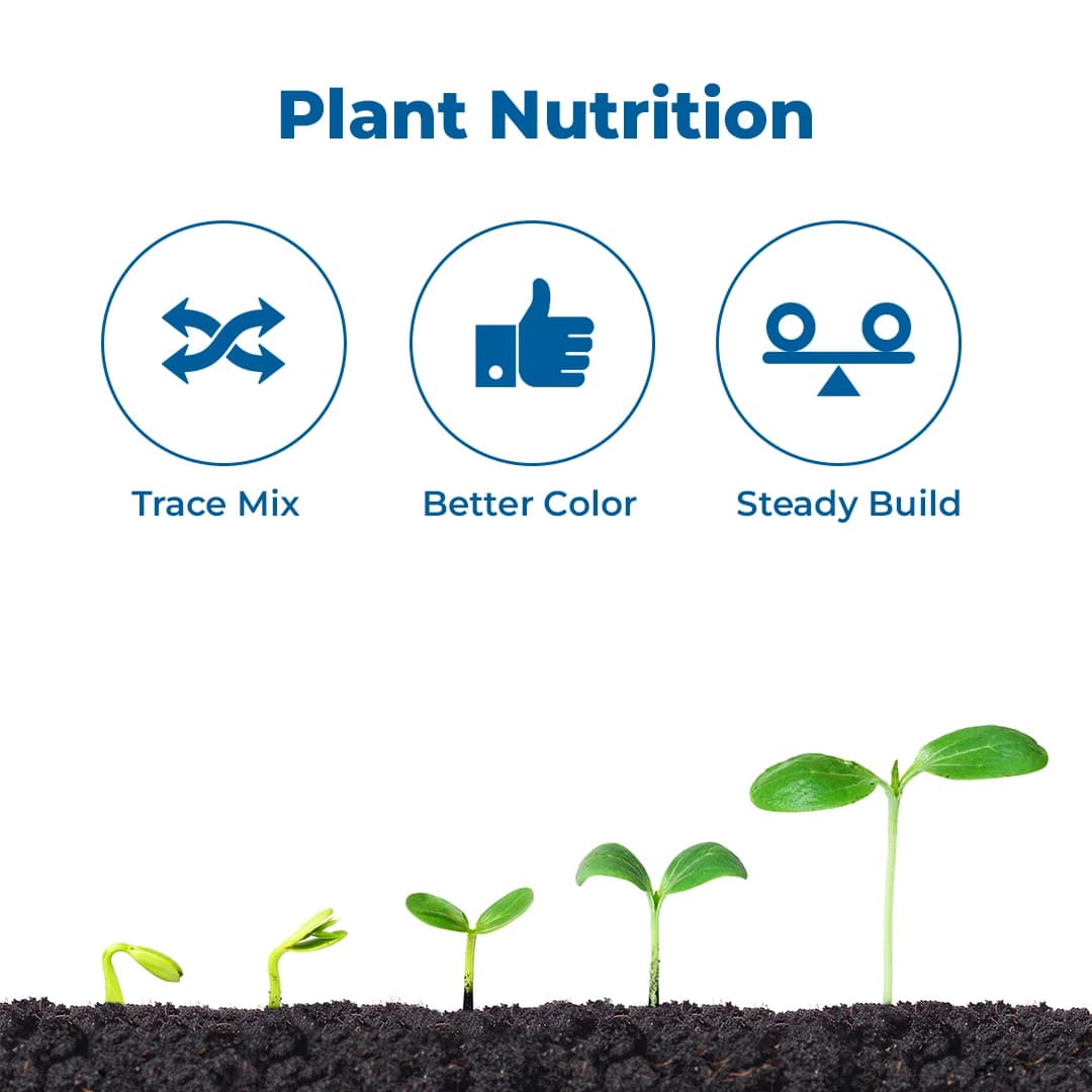 Anand Agro Instafert X Combi Contain Amino Chelated Forms Of Iron, Manganese, Zinc Copper, Boron, Molybdenum - Image 3