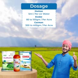 Chickpea, Bengal Gram Special Combo Pack (Evoke 250 GM + Carman 500 GM + Humus 500 GM) For Pod Borer, Fusarium Wilt and Vegetative Growth, For 1 Acre 5