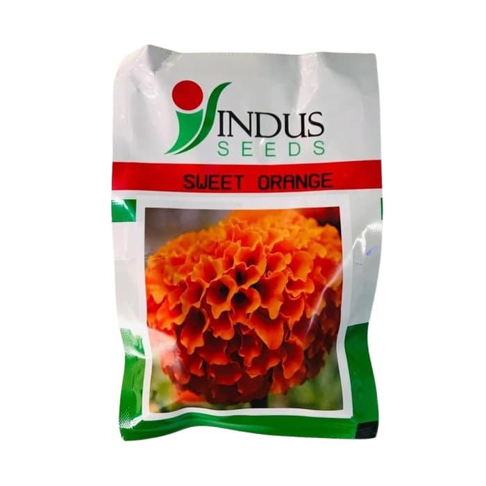 Indus Sweet Orange F1 Hybrid Marigold Seeds, High Purity and Best In Germination - Image 2