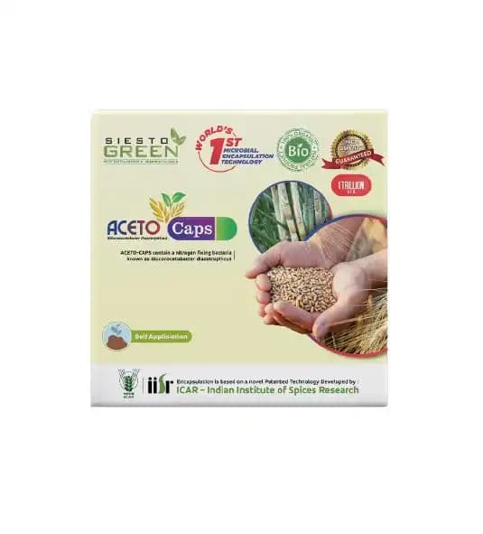 सिएस्टो ग्रीन एसीटो कैप्सूल। इसमें नाइट्रोजन फिक्सिंग जीवाणु होता है जिसे ग्लूकोनासेटोबैक्टर डायज़ोट्रोफ़िकस के नाम से जाना जाता है। - Image 3