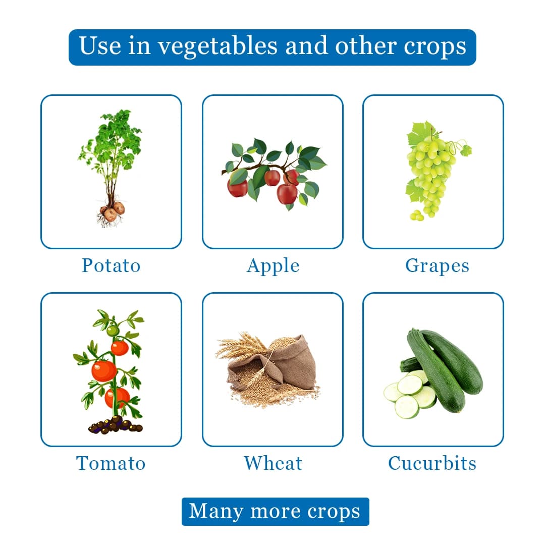 Katyayani KTM Fungicide - Thiophanate Methyl 70 % WP - Image 4