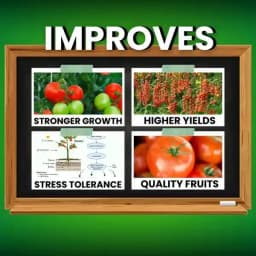 Katyayani Calcium Nitrate Premium Fertilizer for Enhanced Plant Nutrition and Soil Health 3