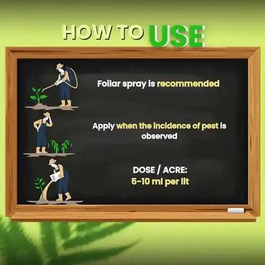 Katyayani Bt Bio Larvicide (Powder) Effective Bio-Pesticide For Natural and Eco-Friendly Larvae Control In Crops - Image 5