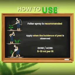 Katyayani Bt Bio Larvicide (Powder) Effective Bio-Pesticide For Natural and Eco-Friendly Larvae Control In Crops 5