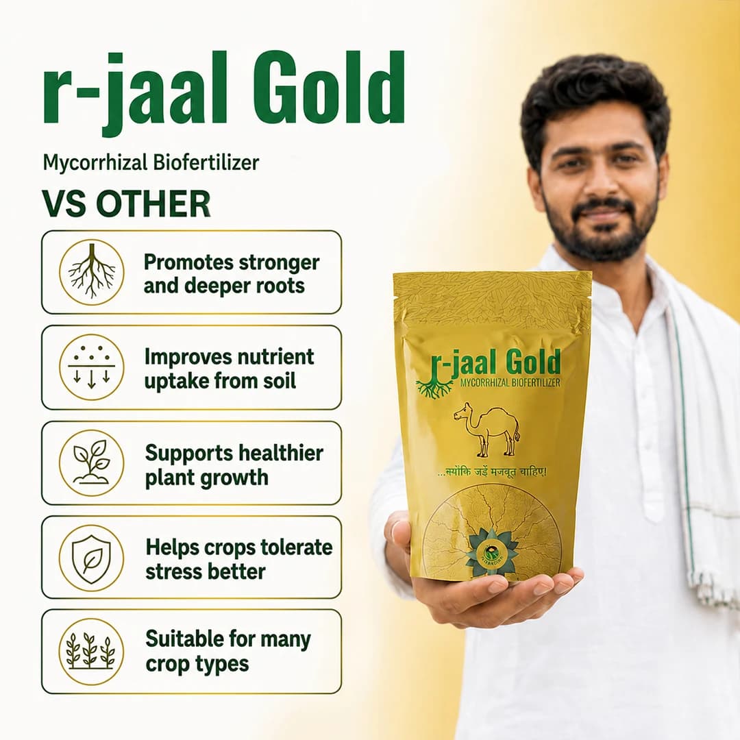 Biowall r-Jaal Gold VAM (Vesicular Arbuscular Mycorrhiza) Root Development and Nutrient - Image 8