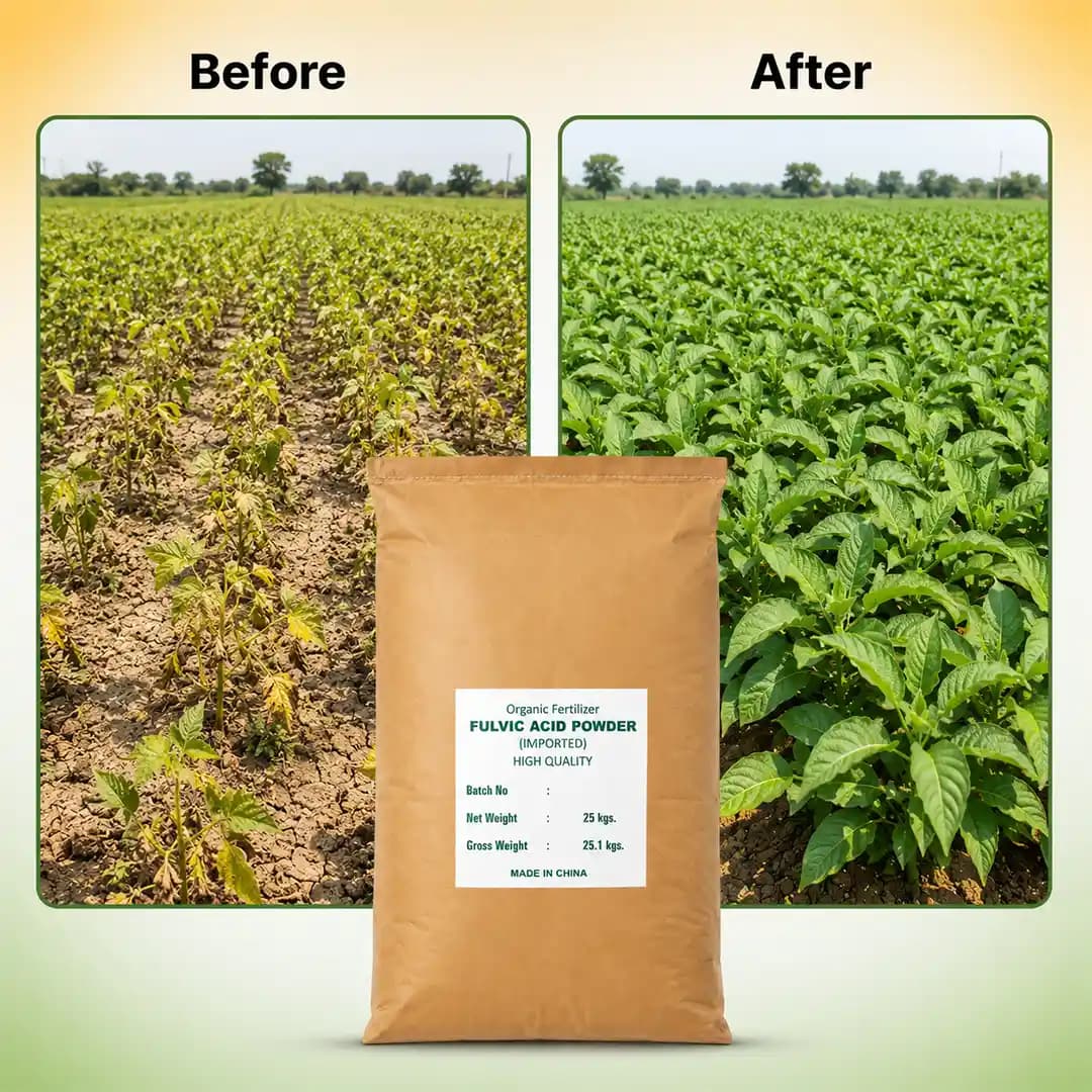 EBS Fulvic Acid Fulvic Acid 50% Organic Fertilizer, Improve Plant Root System, Increase Plant immunity and Growth Booster - Image 8