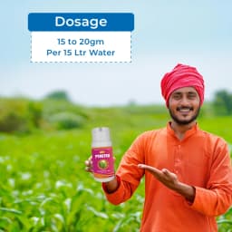 Pymetro Insecticide - Pymetrozine 50% WG 5