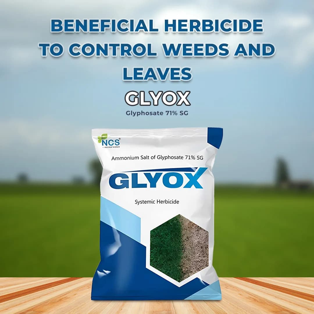 Glyox Ammonium - Salt of Glyphosate 71% SG, Systemic Herbicide Effective Against Broadleaf Weeds in Tea and Non-Cropped Areas - Image 2