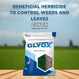 Glyox Ammonium - Salt of Glyphosate 71% SG, Systemic Herbicide Effective Against Broadleaf Weeds in Tea and Non-Cropped Areas 2