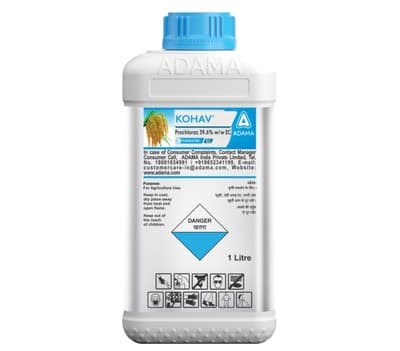 Adama Kohav Prochloraz 39.6% EC Master Blaster Fungicide, Provides Long Lasting And Superior Control Of Leaf Blast In Rice Crop - Image 1