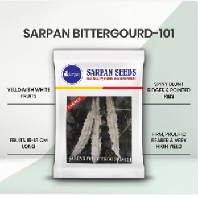 Sarpan 101 F1 Hybrid Bitter Gourd Seeds, Highly Tolerant to Diseases, Fruit is white, glossy, spiny